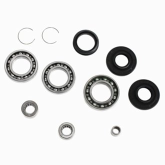 Differential Bearing Kit