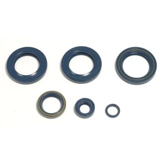 98-02 KTM LC4-E 400 Engine Oil Seal Kit