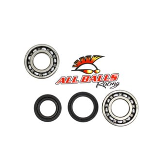 All Balls Crank Bearing And Seal Kit