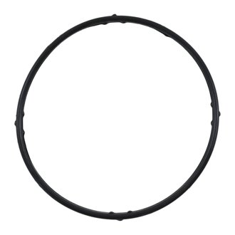 Engine Coolant Thermostat Gasket