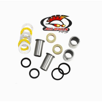 Swing Arm Bearing Kit