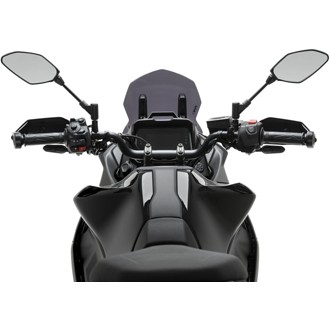 Sport Screen Dark Smoke