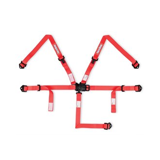 Youth Latch & Link 5 Point Racing Harness Set