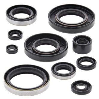 Engine Oil Seal Kit