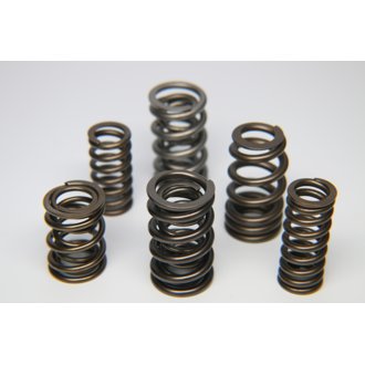 Ford Zetec ZX2 Single Valve Spring - Single (Drop Ship Only