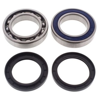 Chaincase Bearing Kit For Arctic Cat Models