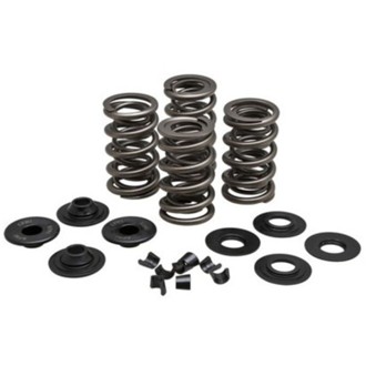 Kpmi Spring Kit, Lightweight Racing, 0.675" Lift, 5/16" HD