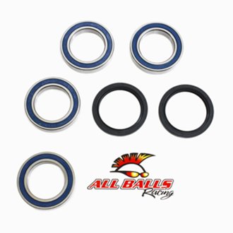 Wheel Bearing Kit Rear
