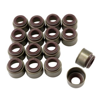 Mopar 03-08 5.7L & 6.1L HEMI Metal Body Valve Seal Viton - Set of 16