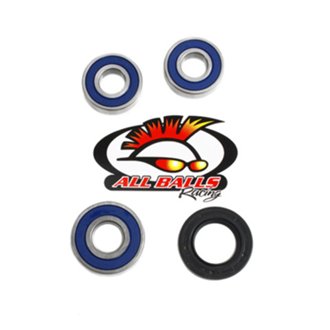 Wheel Bearing Kit Rear