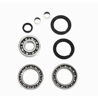Differential Bearing Kit