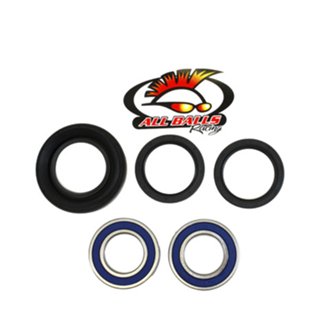 Rear Wheel Bearing Kit - Both Wheels