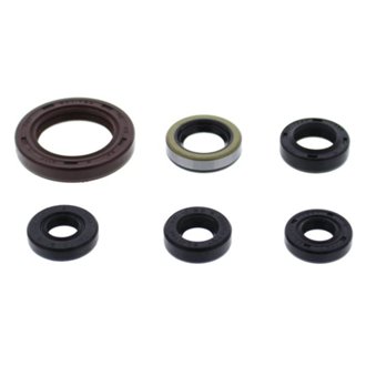 Engine Oil Seal Kit