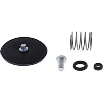 Accel. Pump Rebuild Kit