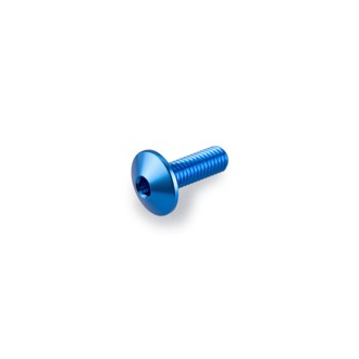 Screw Kit Anodized For Screens Blue