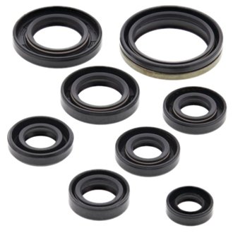 Engine Oil Seal Kit