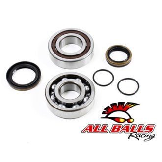 Crank Bearing And Seal Kit