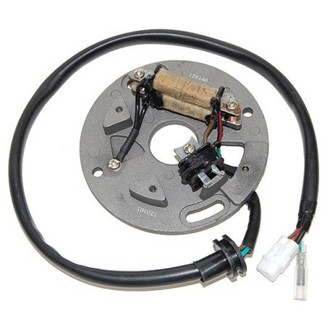 Electrosport Stator YZ250 (90-95), WR250 (90-97)