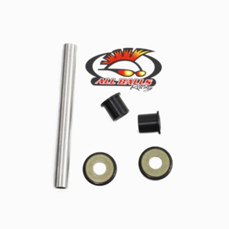 Swing Arm Bearing Kit