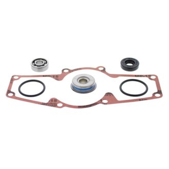 Water Pump Rebuild Kit