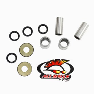 Swing Arm Bearing Kit