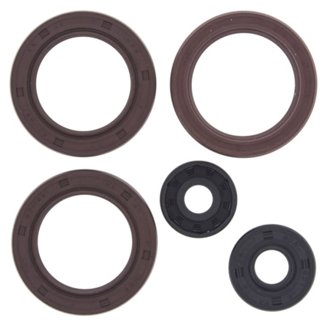 Engine Oil Seal Kit