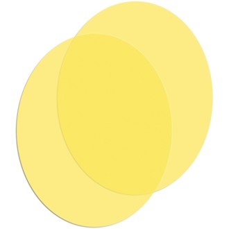 Photo - Primary