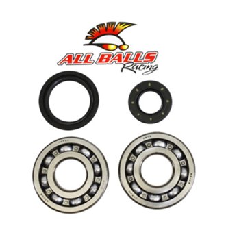 Allballs Crank Bearing And Seal Kit