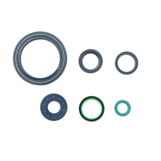 72-74 Ducati GT Engine Oil Seal Kit