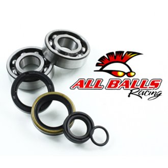 Crank Bearing And Seal Kit