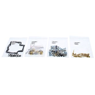 Carburetor Rebuild Kit