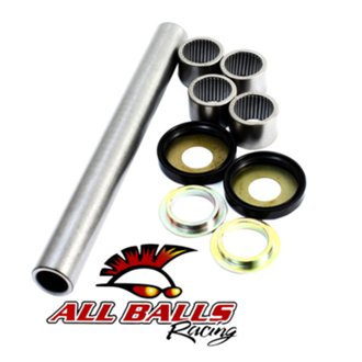 Swing Arm Kit