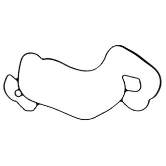 Engine Water Pump Gasket