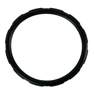 Engine Coolant Thermostat Seal
