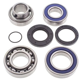 Snowmobile Chain Case Bearing & Seal Kit