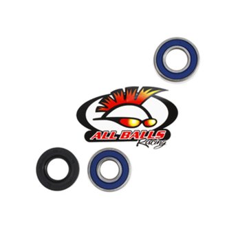 Wheel Bearing Kit - One Wheel