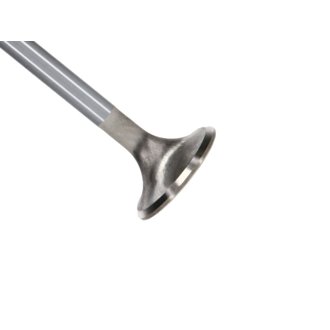 Ford 4.6L 31mm Diameter 4.587in O/A Length Bead Lock Race Master Exhaust Valves (Set of 8