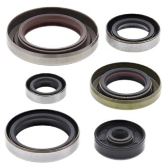 Engine Oil Seal Kit