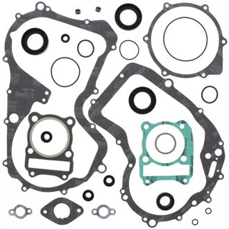Complete Gasket Kit Withoil Seals