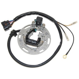 Electrosport Stator KX85/100 (01-05)
