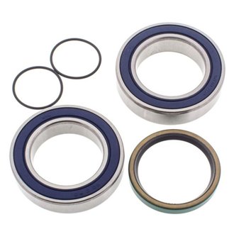 Snowmobile Chain Case Bearing & Seal Kit
