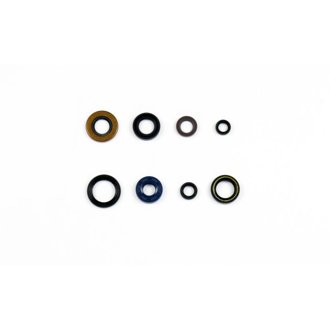 96-03 Honda XR 400 R Engine Oil Seal Kit