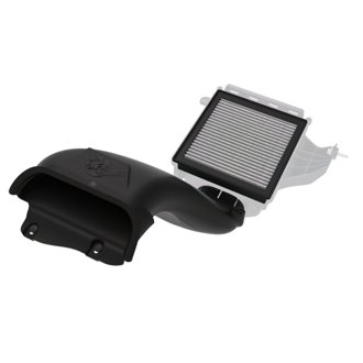 D.A.S. Plus Induction System W/ Pro Dry S Filter