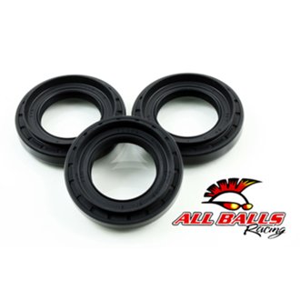 Differential Seal Kit