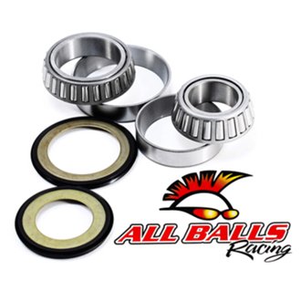 Steering Bearing Kit