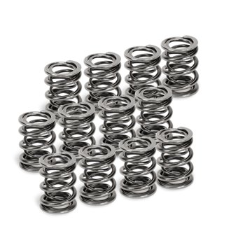 VW VR6 Dual Valve Spring - Set of 12