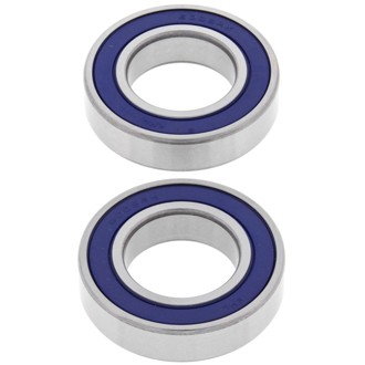 Racing 03-06 Buell Firebolt XB9R Wheel Bearing Kit - Rear