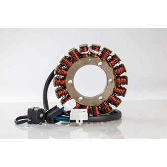 Ricks Motorsport Stator