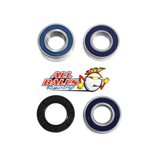 Wheel Bearing Kit Rear