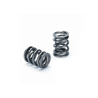 Honda H22A1/H22A4 Dual Valve Spring - Set of 16